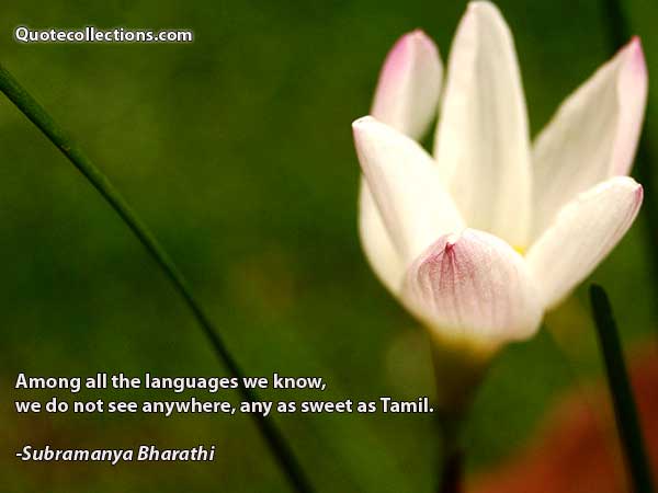Subramanya Bharathi Quotes1